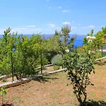 Marusici 1024a Lejlighed Mimice