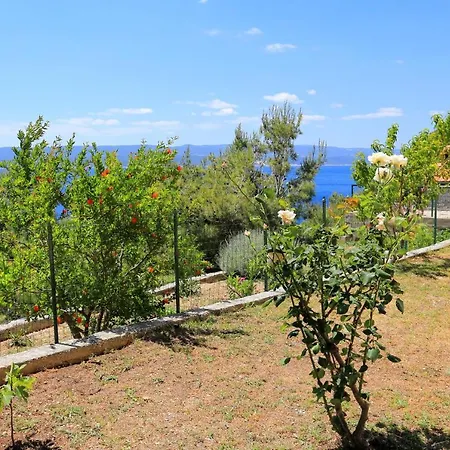 Marusici 1024a Apartment Mimice
