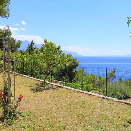 Marusici 1024a