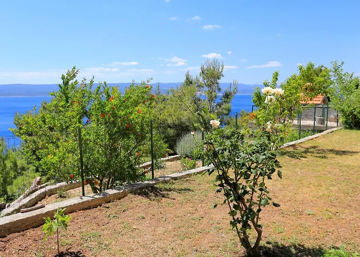 Marusici 1024a Appartamento Mimice