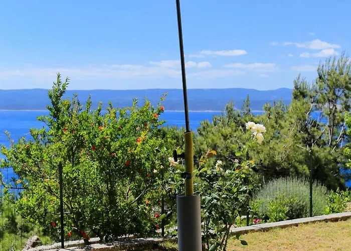 Marusici 1024a Mimice
